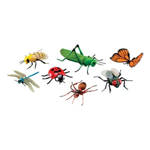 Jumbo Insects